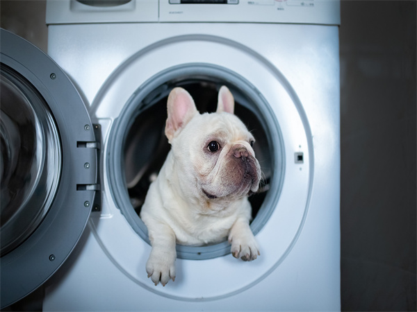 双动力洗衣机什么意思？   洗衣机使用注意事项有哪些？