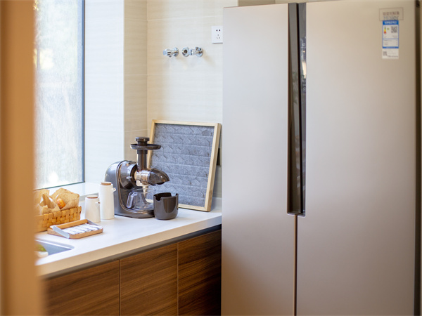 厨房冰箱柜如何选购 厨房冰箱柜如何使用更省电？
