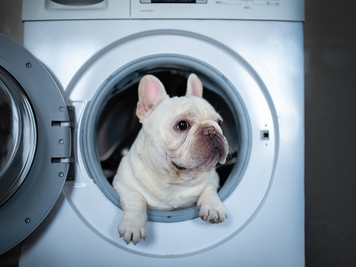 怎样选购洗衣机 洗衣机的摆放注意事项