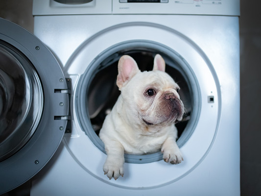 洗衣机买啥品牌的好  洗衣机有什么使用禁忌