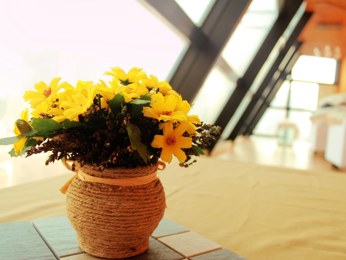 客厅假花仿真花有哪些特点  客厅适合摆放的花卉